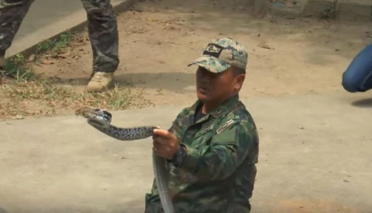 Ετσι επιβιώνουν στη ζούγκλα οι πεζοναύτες (βίντεο)